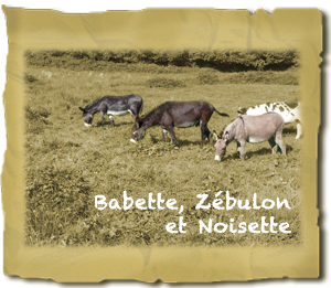 Babette, Z&eacute;bulon et Noisette