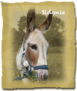 Sidonie
