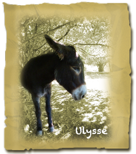 Ulysse