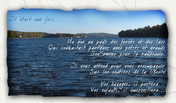 Il etait une fois un ane au pays des foret et des lacs...
