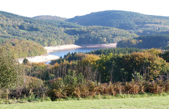 location d'anes