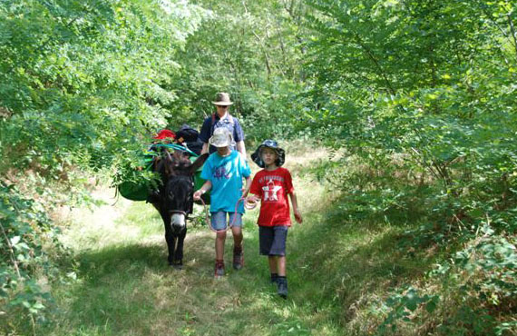 ane de bat en morvan