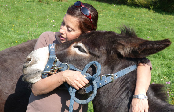 ane en morvan